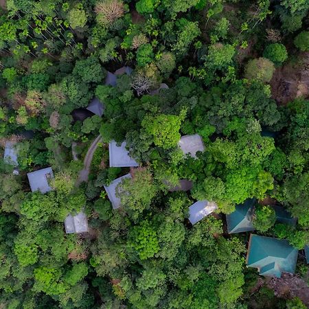 Hotel The Hive, Wayanad Exterior foto