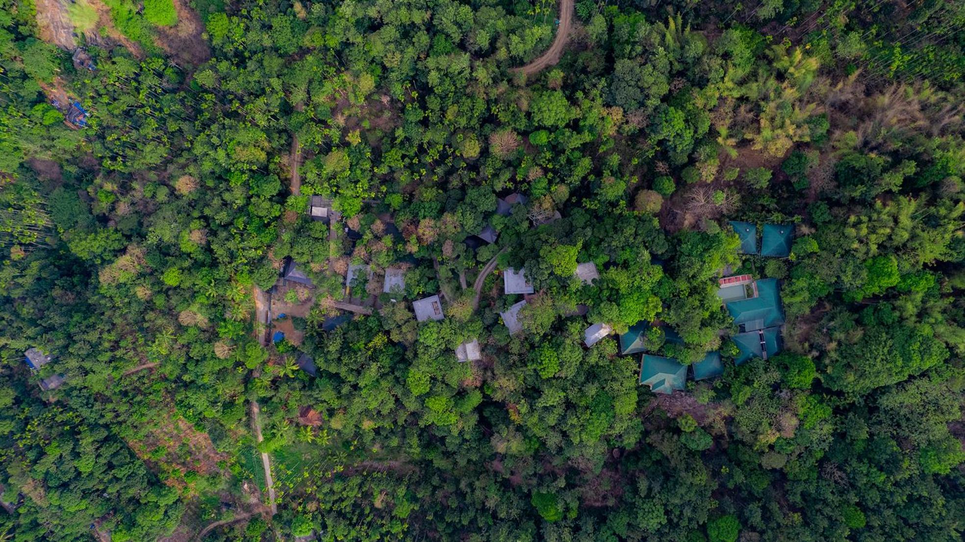 Hotel The Hive, Wayanad Exterior foto