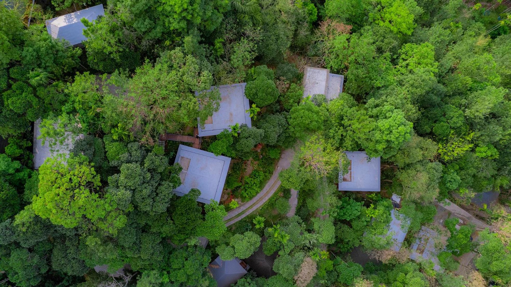 Hotel The Hive, Wayanad Exterior foto