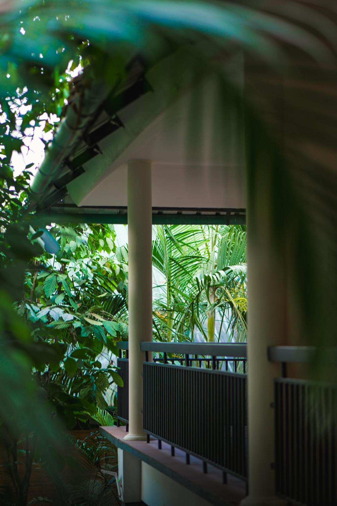 Hotel The Hive, Wayanad Exterior foto