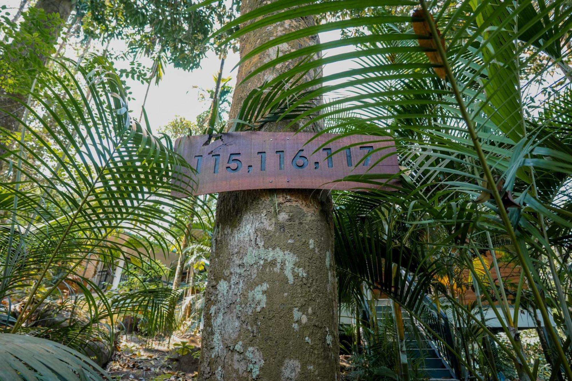 Hotel The Hive, Wayanad Exterior foto