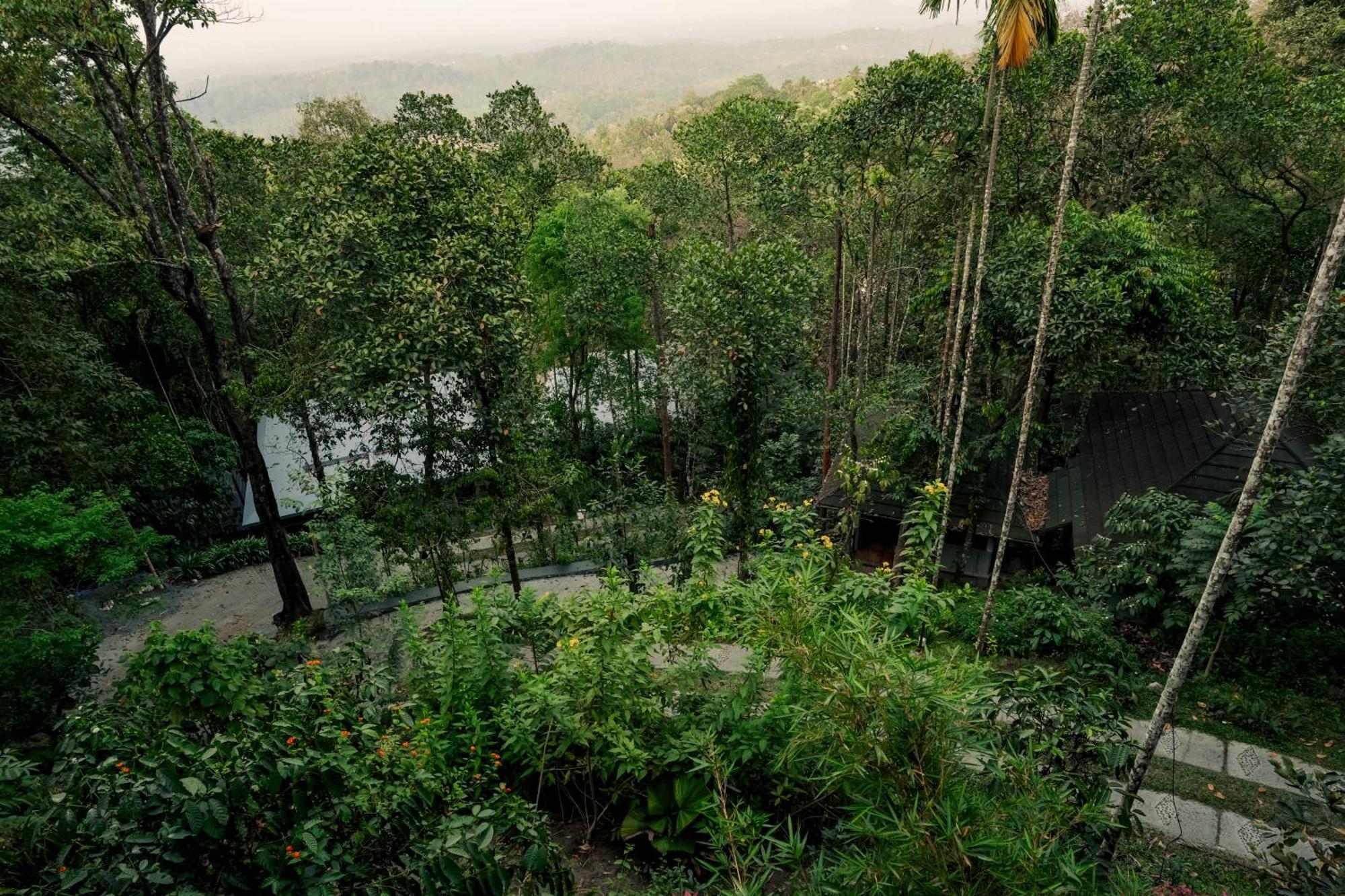 Hotel The Hive, Wayanad Exterior foto
