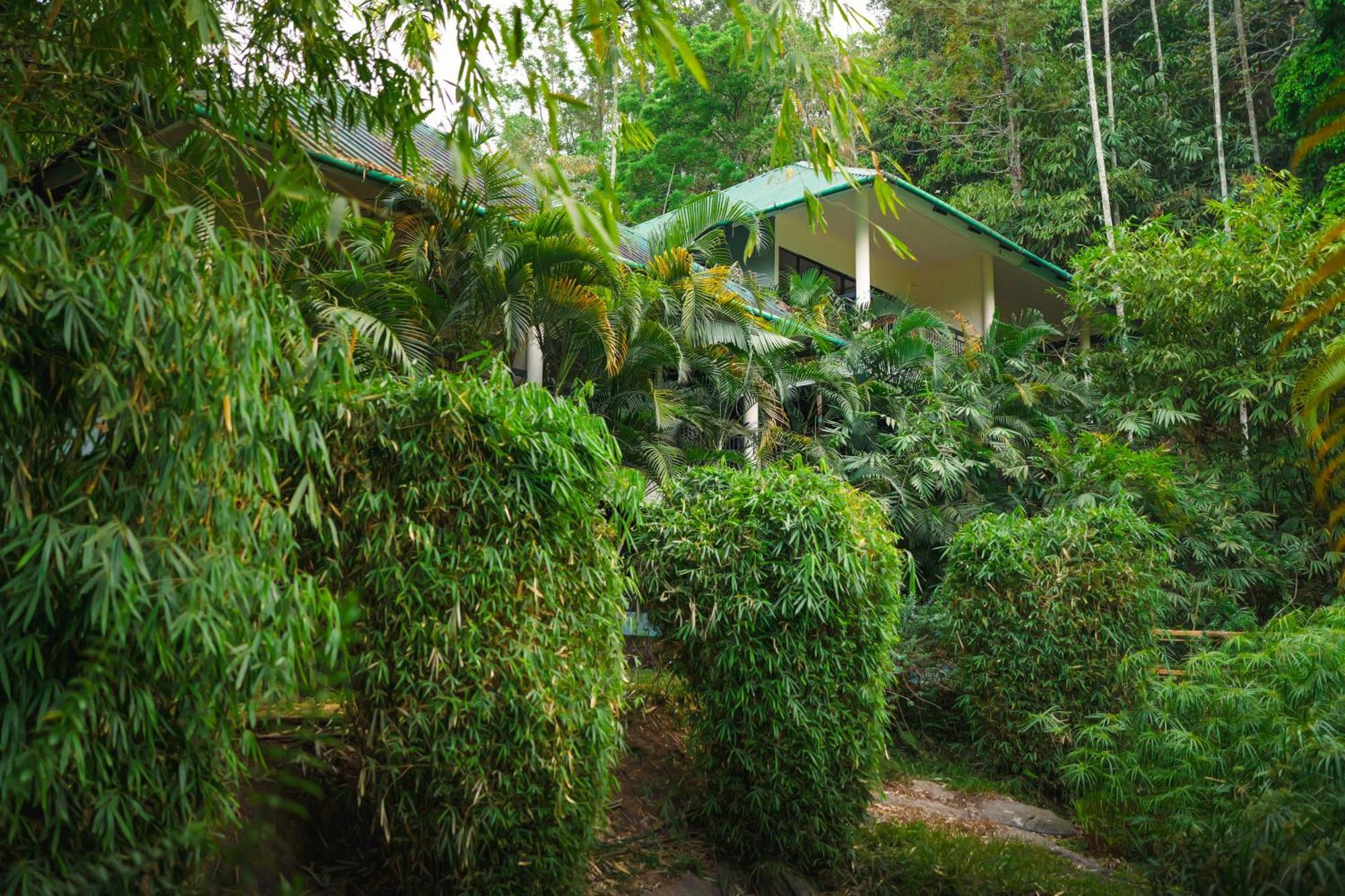 Hotel The Hive, Wayanad Exterior foto